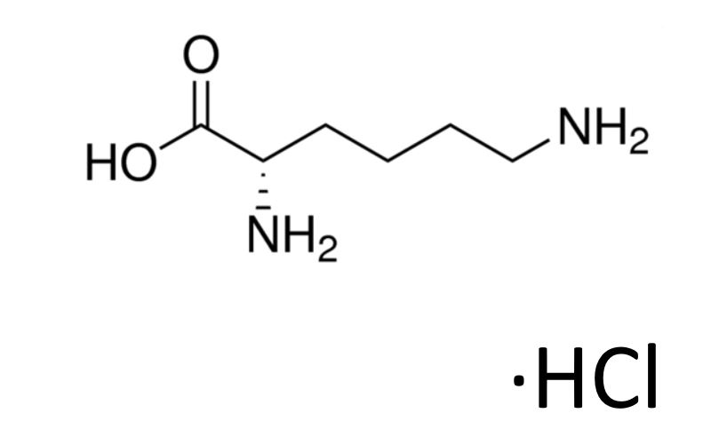 L-lysine Monohydrochloride 25g